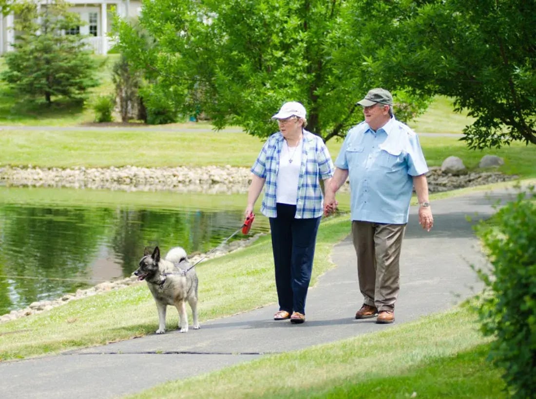 OSLJN-DSC_7392-970x642-1